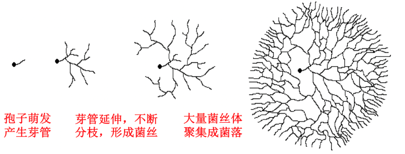北京科学中心