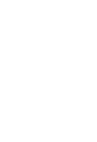 蒲公英