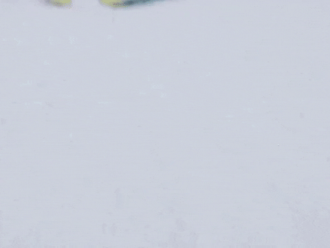 4.gif