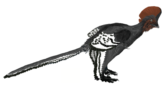 19.png 19.png
