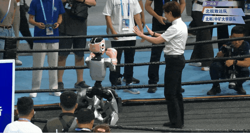 拳击.gif 拳击.gif