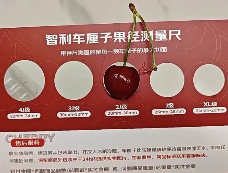 微信图片_20260304092437.jpg