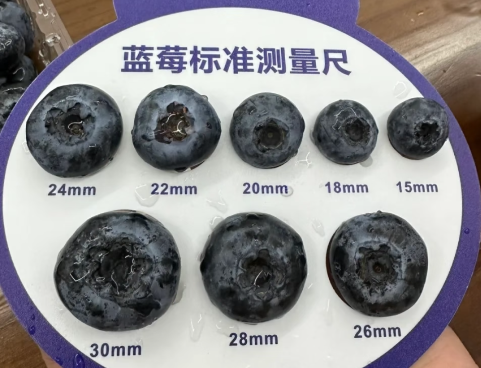 微信图片_20260304092442.png