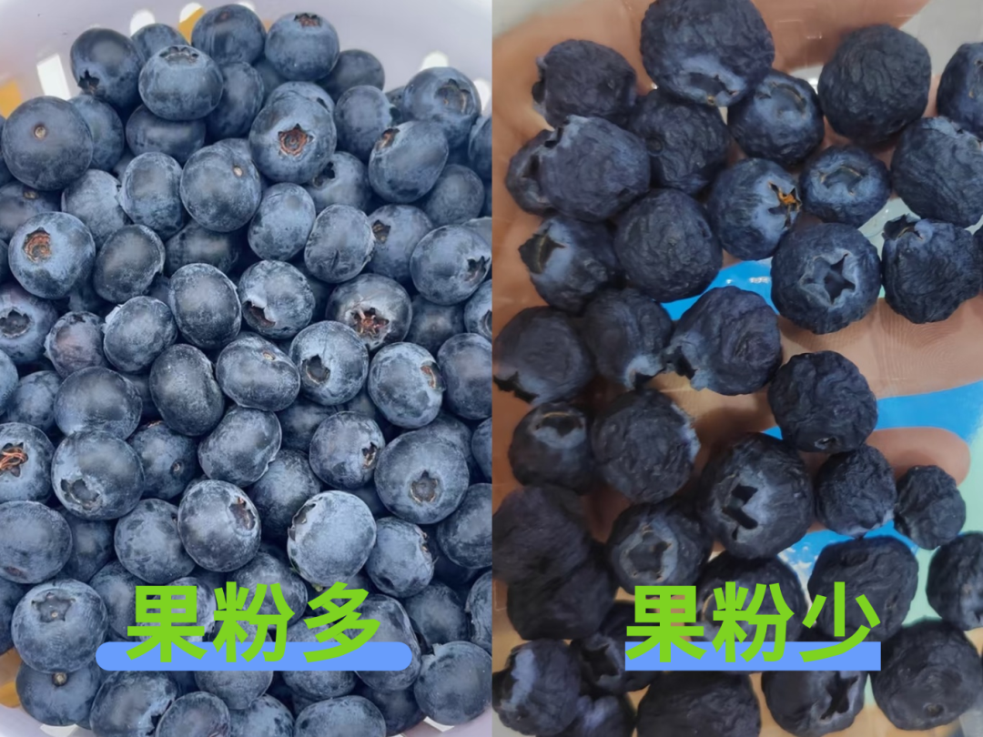 微信图片_20260304092508.png 微信图片_20260304092508.png