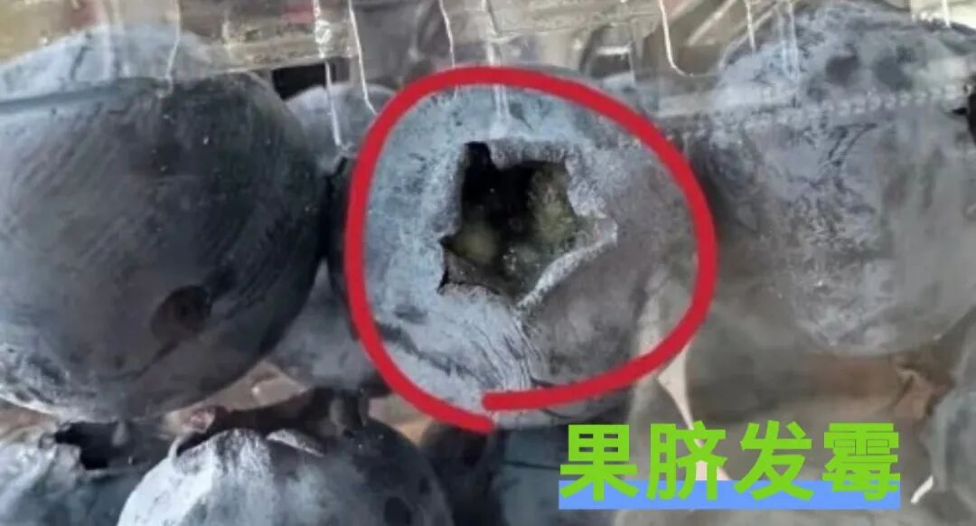 微信图片_20260304092513.png 微信图片_20260304092513.png