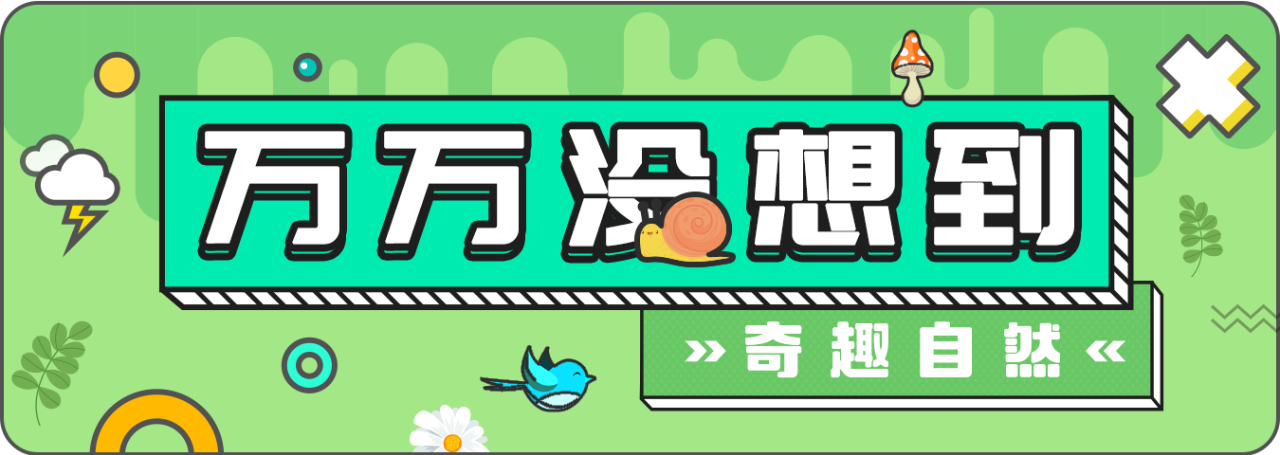 自然.png 自然.png