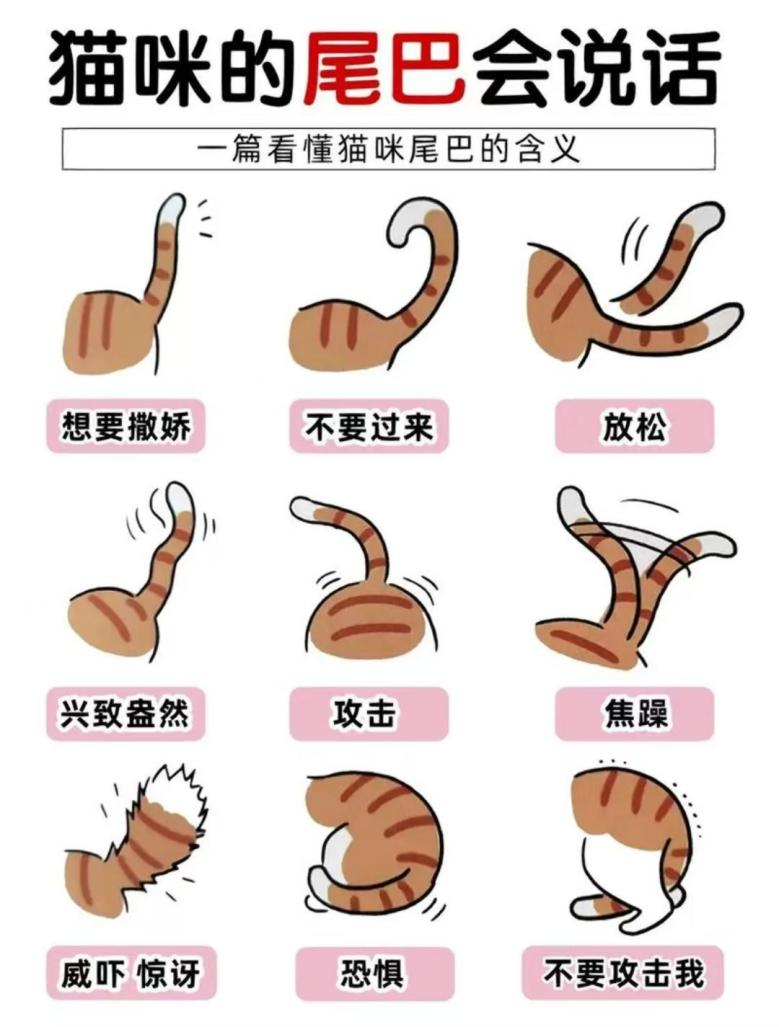 微信图片_20260324092110.png 微信图片_20260324092110.png