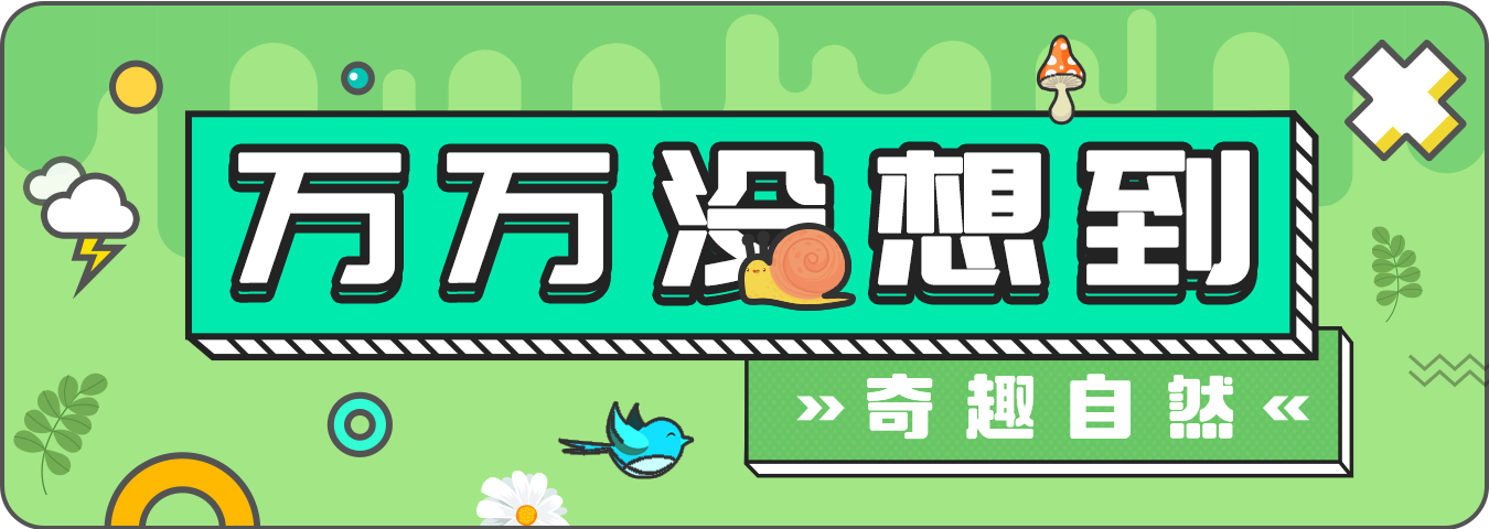 4.14.1.png 4.14.1.png