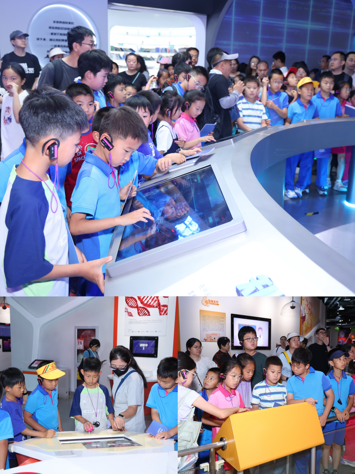 IMG_2825.png IMG_2825.png