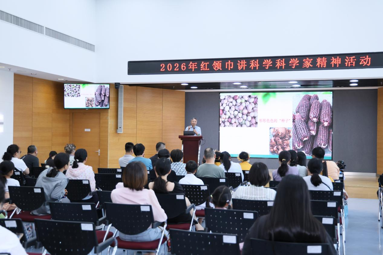 图片 5.png