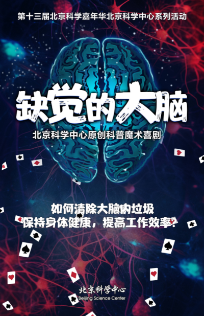 缺觉的大脑