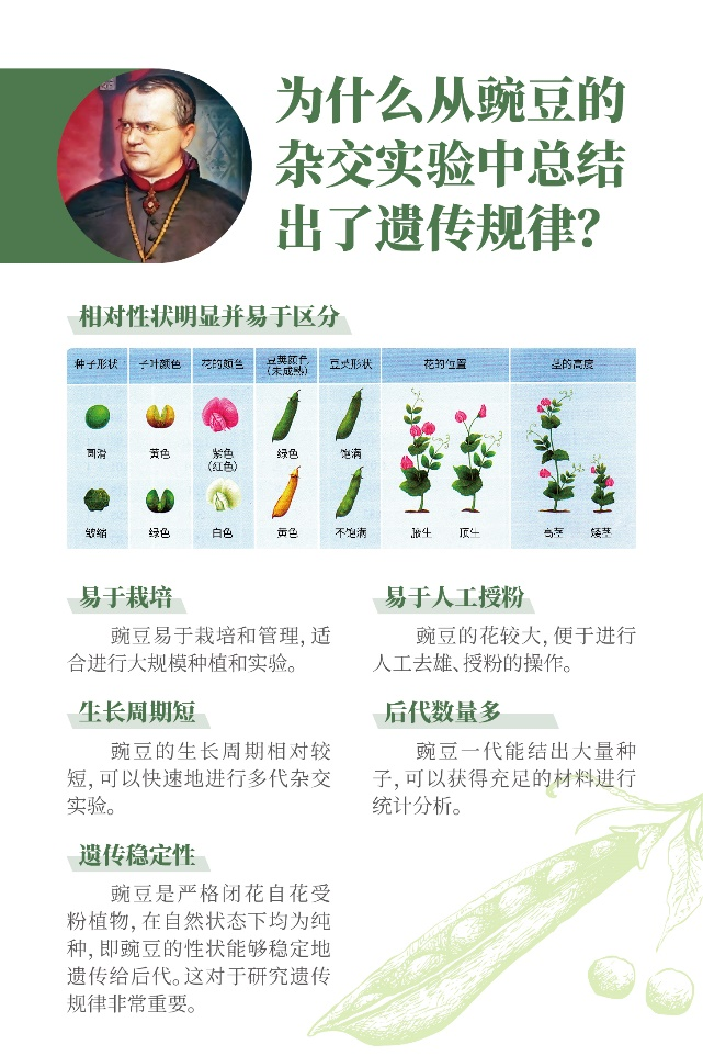 图片 3.png 图片 3.png