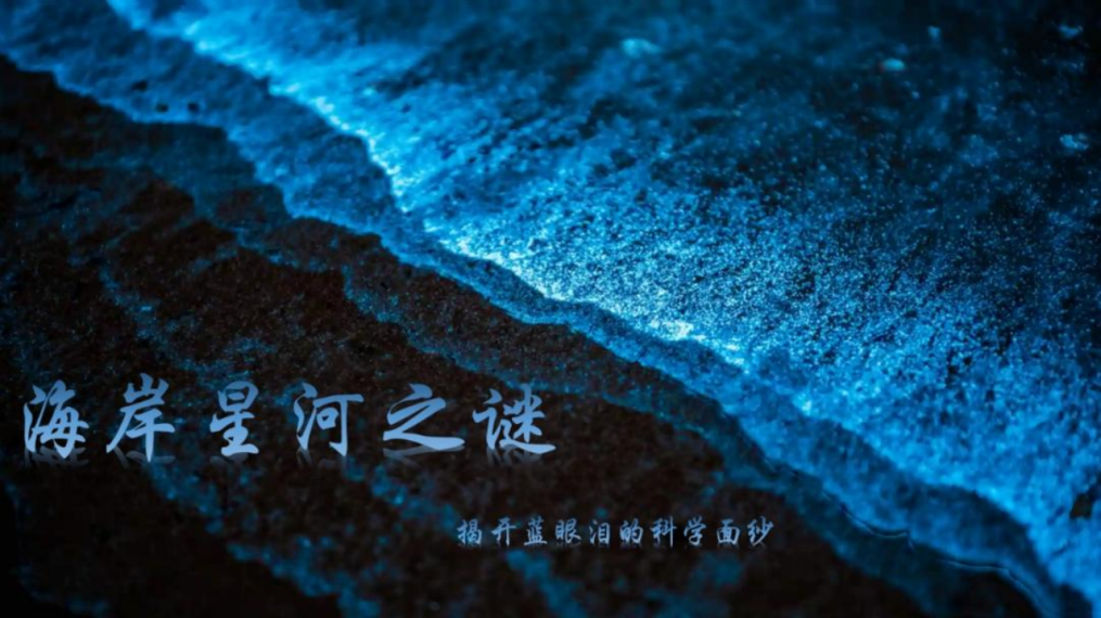 640 (3).png 640 (3).png